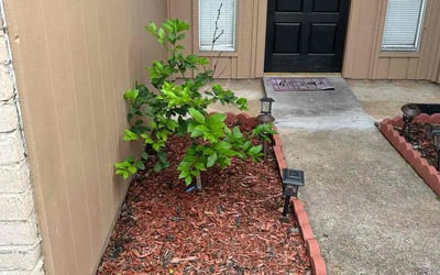 Photo of Lori B.'s yard after getting landscaping in Richmond, TX