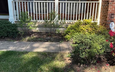 Photo of Bruce C.'s yard after getting landscaping in Stafford, VA