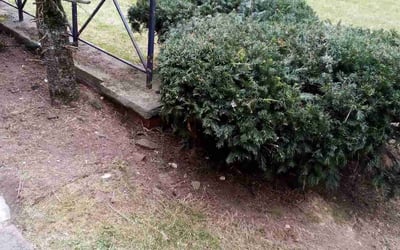 Photo of Eleni K.'s yard after getting landscaping in Niles, OH
