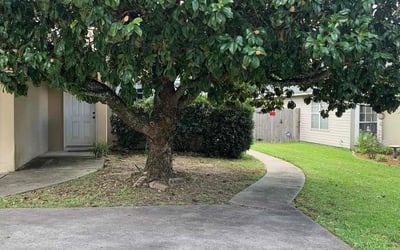 Photo of William B.'s yard after getting landscaping in Gretna, FL