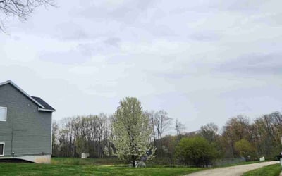 Photo of Trevor B.'s yard after getting landscaping in Hudsonville, MI