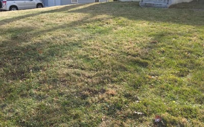 Photo of Amy F.'s yard after getting landscaping in Kidder, MO