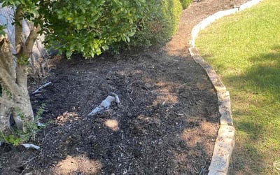 Photo of Alicia D.'s yard after getting landscaping in Nemo, TX