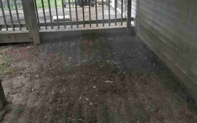 Photo of Jim_Carla A.'s yard after getting landscaping in Clinton, MD
