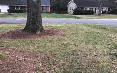 Photo of Marie O.'s yard after getting tree care in Cornelius, NC
