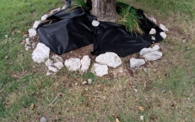 Photo of Susan C.'s yard after getting landscaping in Henryetta, OK
