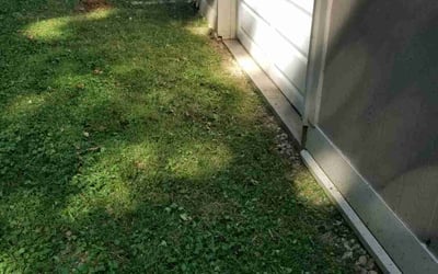 Photo of Dina F.'s yard after getting landscaping in Shelbyville, KY