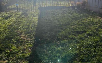 Photo of John P.'s yard after getting landscaping in Rockville, MO