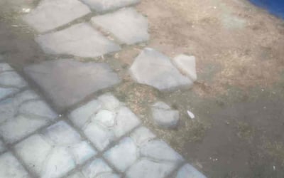 Photo of Megan D.'s yard after getting landscaping in Jacumba, CA