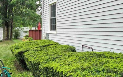 Photo of Susan M.'s yard after getting landscaping in Columbia Station, OH