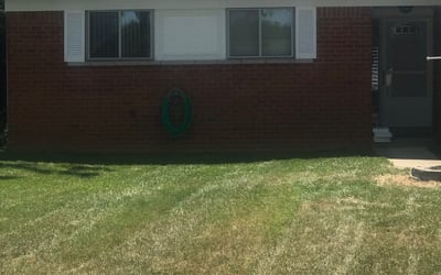 Photo of Michael F.'s yard after getting landscaping in Washington, MI