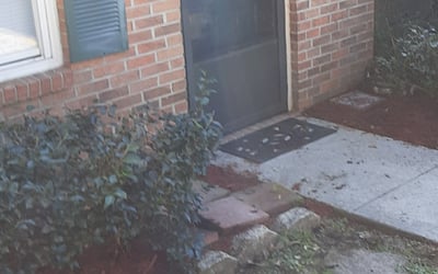 Photo of Michael O.'s yard after getting landscaping in Monticello, FL