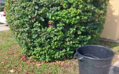 Photo of Jennifer C.'s yard after getting landscaping in Orlando, FL