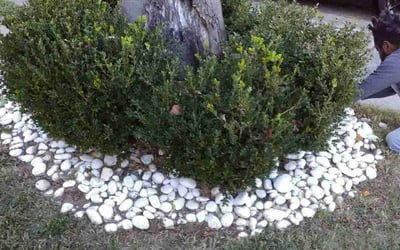Photo of Joe B.'s yard after getting landscaping in Ford, VA