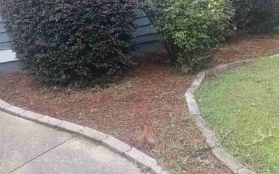 Photo of Sheri B.'s yard after getting tree care in Woodstock, GA