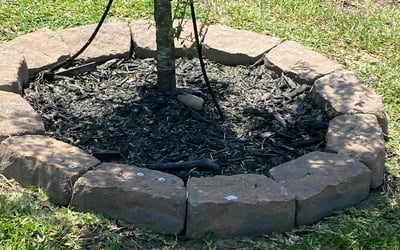 Photo of April W.'s yard after getting landscaping in Conroe, TX