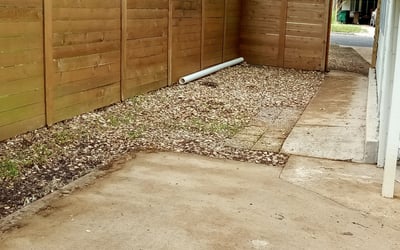 Photo of Andrew H.'s yard after getting landscaping in Granger, TX