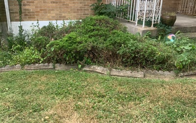 Photo of Mary B.'s yard after getting landscaping in Aurora, IN