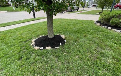 Photo of Thomas J.'s yard after getting landscaping in Fairborn, OH
