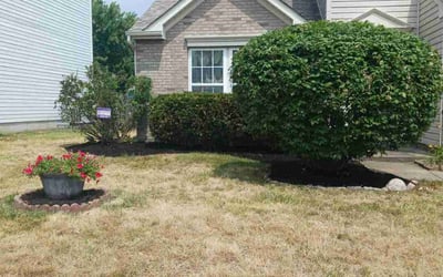 Photo of Terry L.'s yard after getting tree care in Florence, KY