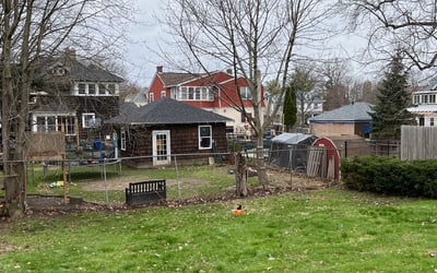 Photo of Tom H.'s yard after getting landscaping in Fulton, NY