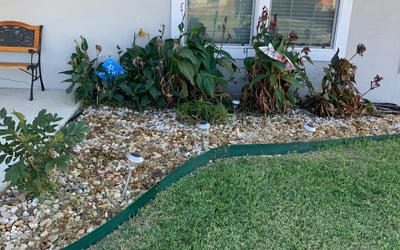 Photo of Donna R.'s yard after getting tree care in San Antonio, TX