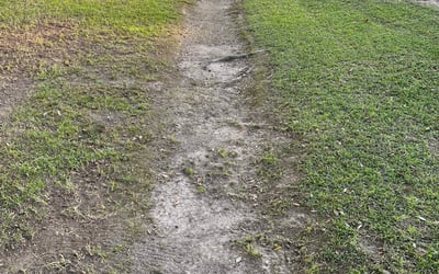Photo of Charles S.'s yard after getting landscaping in Geismar, LA