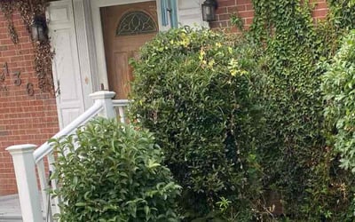 Photo of Karen M.'s yard after getting landscaping in Wicomico, VA