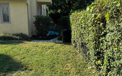 Photo of Mike B.'s yard after getting landscaping in Collegeville, PA
