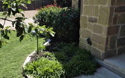 Photo of Sarah G.'s yard after getting landscaping in Austin, TX