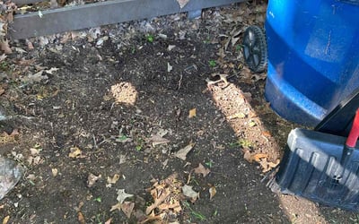Photo of Carl W.'s yard after getting landscaping in Port Haywood, VA
