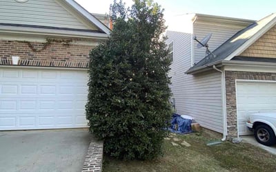 Photo of Derrick M.'s yard after getting landscaping in Harmony, NC