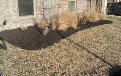 Photo of David P.'s yard after getting landscaping in Grand Prairie, TX
