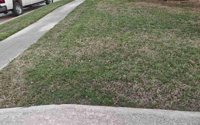 Photo of Ryan B.'s yard after getting landscaping in Euless, TX