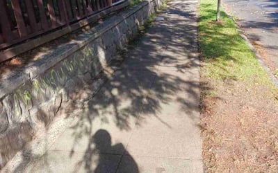 Photo of Robert M.'s yard after getting landscaping in Sandy, OR
