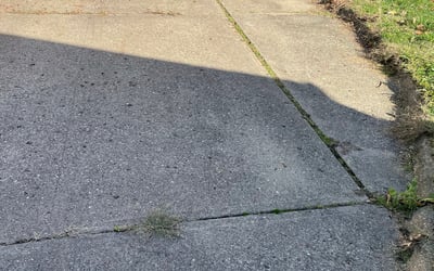 Photo of Elizabeth K.'s yard after getting landscaping in Hudson, OH