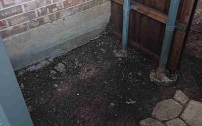 Photo of Michael M.'s yard after getting landscaping in Grandview, TX