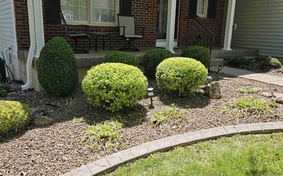 Photo of Karen B.'s yard after getting landscaping in Taylorsville, KY