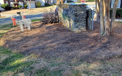 Photo of Dolores M.'s yard after getting landscaping in Crouse, NC