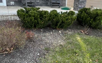 Photo of Brent B.'s yard after getting landscaping in Plain City, OH