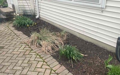 Photo of Beverly J.'s yard after getting landscaping in Aurora, IL