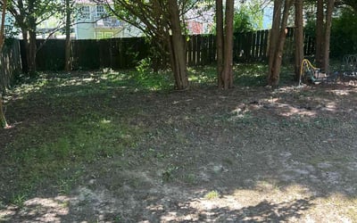 Photo of Brenda K.'s yard after getting landscaping in Marietta, GA
