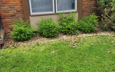 Photo of Rachel H.'s yard after getting landscaping in Edgerton, KS