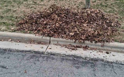 Photo of Jessie H.'s yard after getting landscaping in Oregon, WI