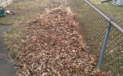 Photo of Christine B.'s yard after getting landscaping in Isanti, MN