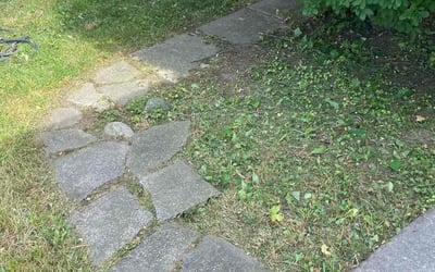 Photo of Jessica W.'s yard after getting tree care in Traverse City, MI