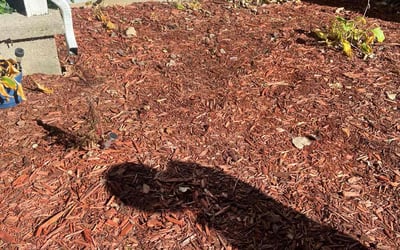 Photo of Janet C.'s yard after getting landscaping in Waterford, MI