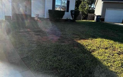 Photo of Marie O.'s yard after getting tree care in Stanley, NC