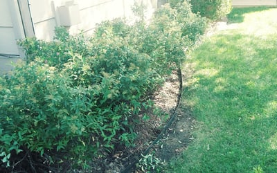 Photo of Justin B.'s yard after getting landscaping in Rose Hill, KS
