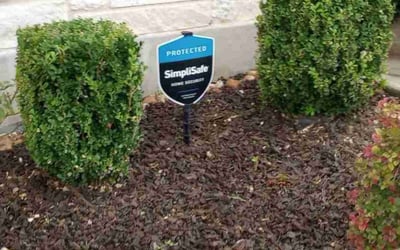 Photo of Brittany K.'s yard after getting tree care in Boerne, TX